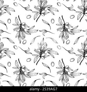 Olive tree branch, leaves and berries seamless pattern. Botanical hand drawn vector linear drawing illustration. Floral clipart for fabric, package Stock Vector