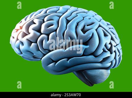 A detailed, 3D model of a human brain is positioned on a circuit board, symbolizing the relationship between the human mind and technology. The model' Stock Photo