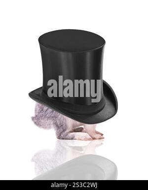 Little bunny in a hat isolated Stock Photo