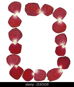 Rose petals flying on white isolated background Stock Photo - Alamy
