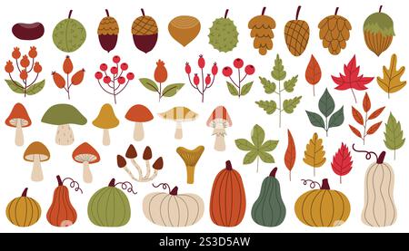 Big set of cartoon autumn design elements in flat style. Nuts and cones, mushrooms and berries, pumpkins and leaves. Fall harvest collection. Stock Vector