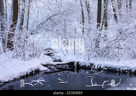 Snow covered trees on river banks in winter forest, frost weather Stock Photo