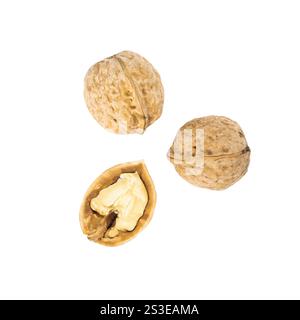 Three Persian walnuts on a white background: two whole with shells and one half showing the kernel. Perfect for food or organic product concepts. Stock Photo