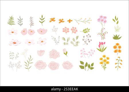 Colorful collection of floral elements and leaves on white background. Stock Vector