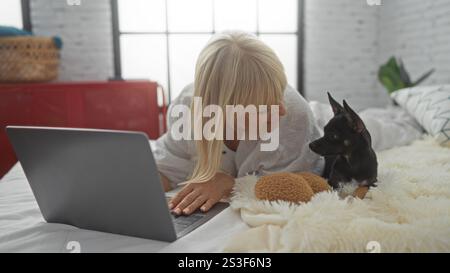 Mature blonde woman interacting with her chihuahua on a bed in an indoor bedroom setting while using a laptop. Stock Photo