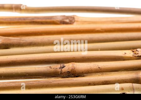 Side top angle view of a row of Bamboo sticks . High quality photo Stock Photo