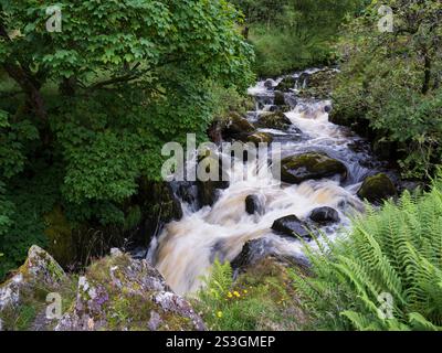 The waterfall on the stream flowing out from Watendlath Tarn above Derwentwater in the Lake District Stock Photo