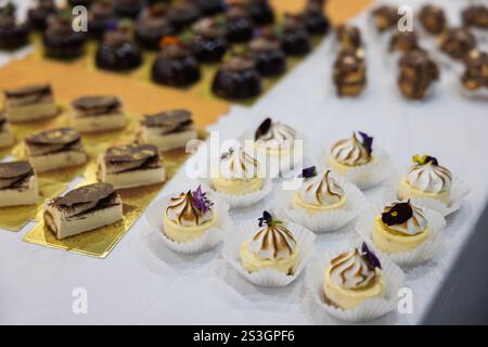 Cake mini with edible flowers, patisserie lemon tart meringue, tiramisu and eclairs. Dark chocolate mousse cakes with strawberry and edible flowers. S Stock Photo