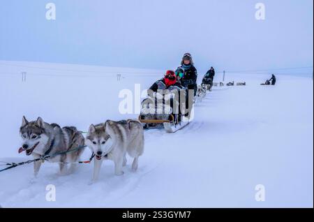 July 15, 2023, Husavik, Iceland: A group of riders led by a guide are seen sledding on a dogsled during an excursion on a tundra located in the Husavik. Sled dog rides offer a truly remarkable experience to explore the winter landscapes of the northern part of the country. Using mainly trained Siberian Huskies which are known for their resistance to cold and their ability to travel long distances, visitors can enjoy a thrilling ride across the snowy tundra. Led by local experts, these excursions not only let travelers admire the natural beauty of the region, but also interact with the dogs, le Stock Photo