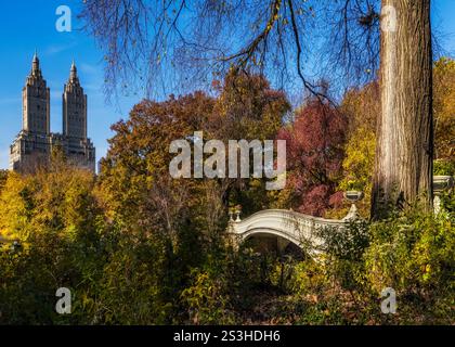 Central Park's Bow Bridge and San Remo shine amidst vibrant fall foliage, blending nature and iconic architecture in this timeless NYC autumn scene. Stock Photo