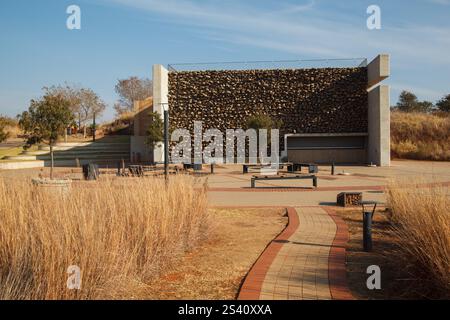 australopithecus-africanus-is-an-extinct-species-of-hominid-that-lived