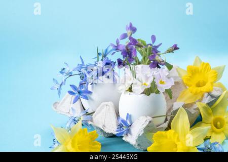 Floral Easter arrangement on a blue background. packaging for eggs and spring flowers in an eggshell. DIY, blur and selective focus. Stock Photo