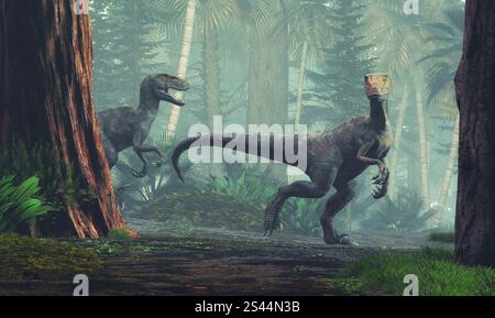 Velociraptor walking through the forest. This Dinosaur lived in the late Cretaceous period. Stock Photo