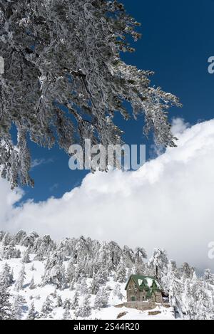 Extreme freezing winter landscape in Mongolia with heavy rime frost and ...
