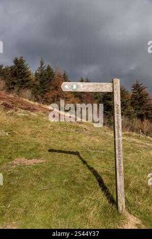 Wooden signposts for Offas Dyke path in the Clwydian Range Area of Outstanding Natural Beauty, North Wales Stock Photo