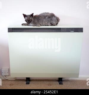 A Devon Rex cat resting on a warm storage heater at a home in Whimple, East Devon. Temperatures will continue to fall over the coming days, with the mercury potentially reaching minus 20C in northern parts of the UK on Friday night. Weather warnings for ice are in place across the majority of Wales and Northern Ireland, as well as large parts of the east of England. Picture date: Friday January 10, 2025. Stock Photo