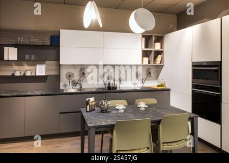Contemporary kitchen showcasing gray and white cabinets, dandelion themed backsplash, and modern pendant lighting, creating a sophisticated and inviti Stock Photo