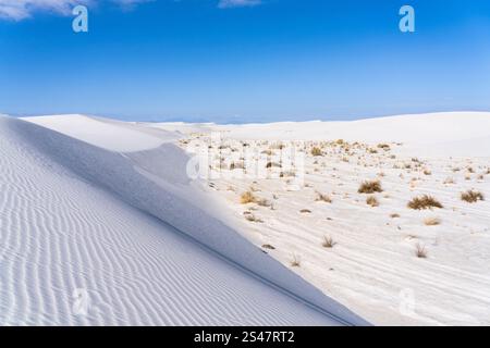 Sand Dunes Stretching Across the Horizon in White Sands National Park New Mexico Stock Photo