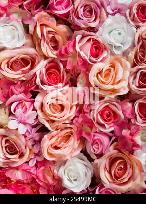 Symphony in Red, Pink, and White Roses. Colorful background of flowers. Design and fashion concept photo. Stock Photo