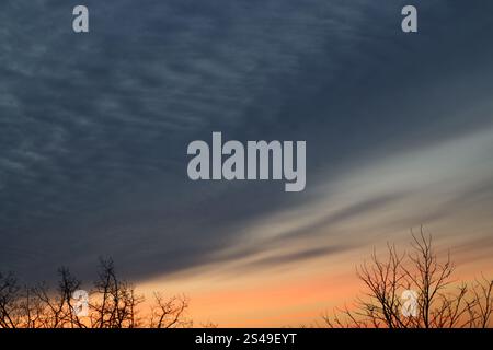 deep blue gray clouds above barren winter trees against golden sunset Stock Photo