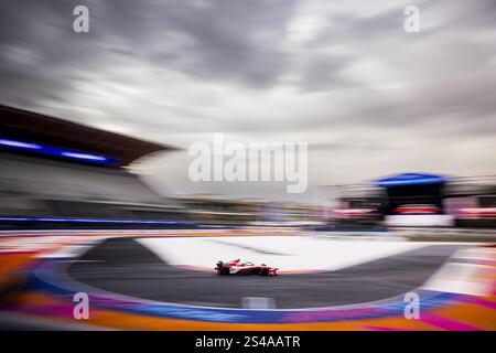 17 NATO Norman (fra), Nissan Formula E Team, Nissan e-4ORCE 05, action during the Mexico City ePrix, 2nd round of the 2024-25 ABB FIA Formula E World Championship, on the Autodromo Hermanos Rodriguez from January 10 to 11, 2025 in Mexico City, Mexico Stock Photo