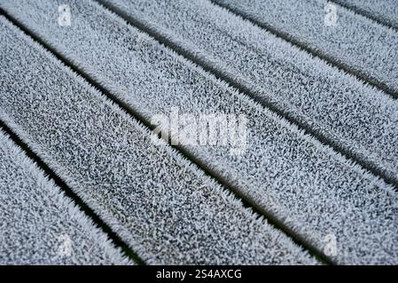 close up of ice and frosty crystals on a slated wooden bench top in london england uk Stock Photo