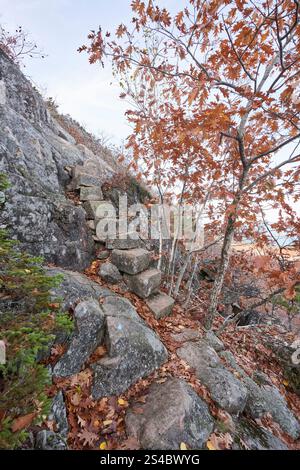 A steep set of stone stairs leading up a steep mountain in Maine. The precipice trail in Acadia National park is a treacherous trail leading up the si Stock Photo