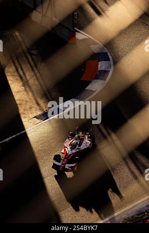 17 NATO Norman (fra), Nissan Formula E Team, Nissan e-4ORCE 05, action during the Mexico City ePrix, 2nd round of the 2024-25 ABB FIA Formula E World Championship, on the Autodromo Hermanos Rodriguez from January 10 to 11, 2025 in Mexico City, Mexico Stock Photo