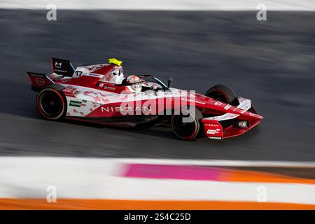 17 NATO Norman (fra), Nissan Formula E Team, Nissan e-4ORCE 05, action during the Mexico City ePrix, 2nd round of the 2024-25 ABB FIA Formula E World Championship, on the Autodromo Hermanos Rodriguez from January 10 to 11, 2025 in Mexico City, Mexico Stock Photo