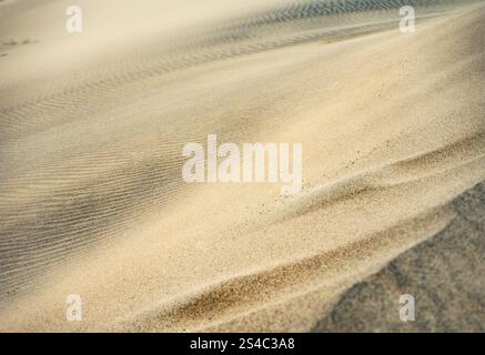Smooth, rippled sand dunes in Death Valley's arid landscape, with subtle curves and textures under a soft winter light. Stock Photo