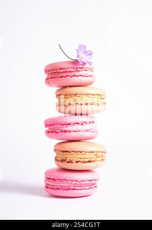Pink and beige macaroons and mini purple flower isolated on white background, photo aesthetics. Stock Photo