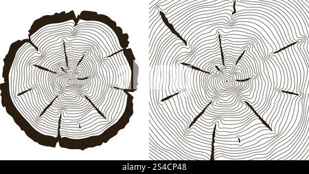 Tree growth rings, saw trunk cuts vector illustration. Tree growth rings, saw trunk cuts . Wooden tree rings or incision trunk of tree. Vector illustration Stock Vector