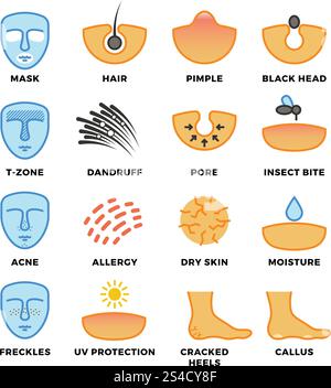 Skin types, skin care and cosmetic vector icons. Face health, beauty human illustration. Skin types, care and cosmetic vector icons Stock Vector