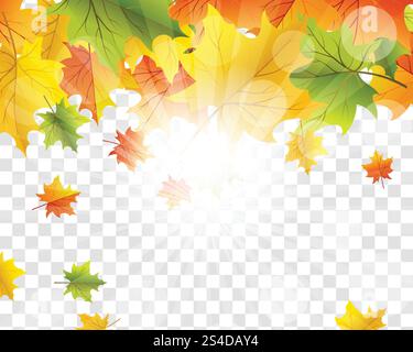 Autumn  Frame With Falling  Maple Leaves on transparency (alpha) grid background. Vector illustration. Stock Vector