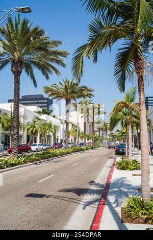 The iconic , exclusive, expensive Rodeo Drive lined with palm trees in ...