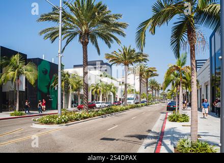 The iconic , exclusive, expensive Rodeo Drive lined with palm trees in ...