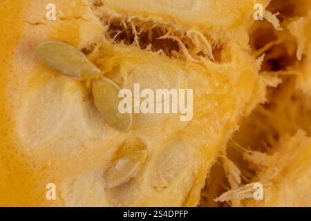 ripe pumpkin with seeds cut into pieces, details of the pumpkin part with soft sweet flesh and large seeds Stock Photo