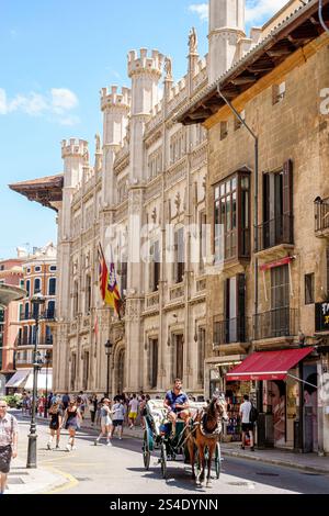 Palma de Mallorca Balearic Islands Spain,Carrer del Palau Reial,Old Town,Consell Insular de Mallorca,Palau de Consell,Neo-Gothic architecture,governme Stock Photo