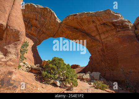 Broken Arch in Arches National Park, Utah, USA, is a stone arch that is not yet broken, just cracked, on a beautiful morning with bright blue skies. Stock Photo