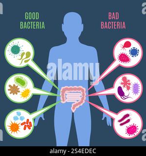 Intestinal flora gut health vector concept with bacteria and probiotics icons. Human flora good and bad microorganism illustration. Intestinal flora gut health vector concept with bacteria and probiotics icons Stock Vector