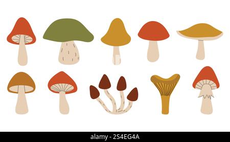 Cute cartoon autumn mushrooms collection. Fall forest mushrooms harvest in simple flat style. Stock Vector