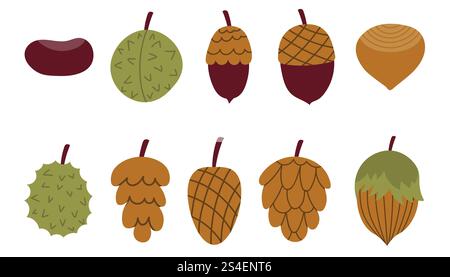 Cute cartoon autumn nuts and cones collection. Flat style fall harvest set. Cozy autumn design elements. Stock Vector