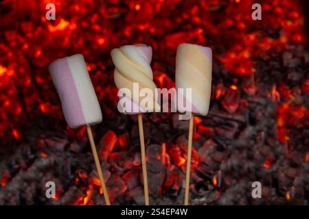Three marshmallows on wooden skewers over red burning coal background, soft focus Stock Photo
