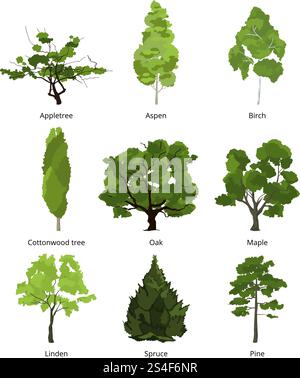 Vector set of green garden trees. Nature illustrations isolate on white. Collection trees organic appletree and aspen, birch and cottonwood. Vector set of green garden trees. Nature illustrations isolate on white Stock Vector