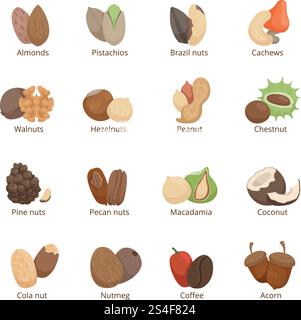 Vector illustration of different nuts. Vector set isolated on white background. Organic nuts collection. Vector illustration of different nuts. Vector set isolate Stock Vector