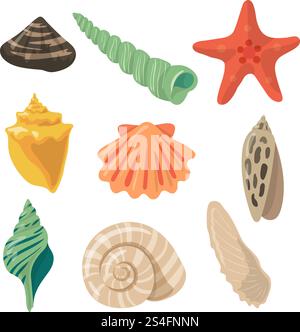 Summer tropical objects. Marine shells in cartoon style. Vector colored set of ocean cartoon shell and seashell illustration. Summer tropical objects. Marine shells in cartoon style. Vector pictures set Stock Vector