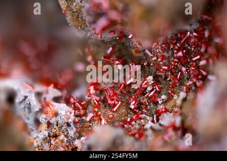 Red realgar crystals. Specimen from Solfatara di Pozzuoli, Phlegrean Fields, Naples Province, Campania, Italy. Micro photography extreme close-up. mic Stock Photo