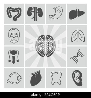Human organs medical thin line and silhouette icons. Vector illustration. Human organs thin line and silhouette icons Stock Vector