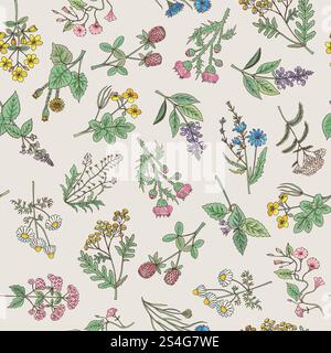 Seamless pattern of various hand drawn herbs and flowers on a gentle pink background. Vector illustration. Seamless pattern of various hand drawn herbs and flowers Stock Vector