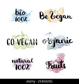 Vector doodle handdrawn colored piles of fruits and vegetables with vegan, organic, natural lettering. Set of vegan text illustration. Vector doodle handdrawn colored piles of fruits and vegetables with vegan, organic, natural lettering Stock Vector